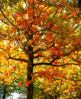 untitled-5512.jpg
