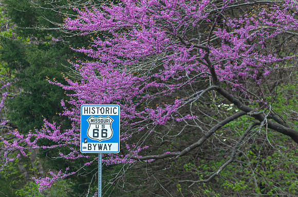 Spring PulCo Rt66© PicsbyJax-0322-3.jpg