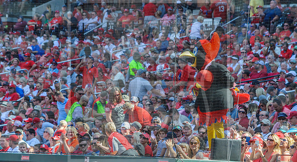 STL Cardinals v Cinncinati Reds @ Busch Stadium in Saint Louis, Missouri (c)2017PicsbyJax #saintlouiscardinals #cardinals #myfirstgame #picsbyjax  MO(c)2017PicsbyJax #history #wrinksmarket #lebanonmo