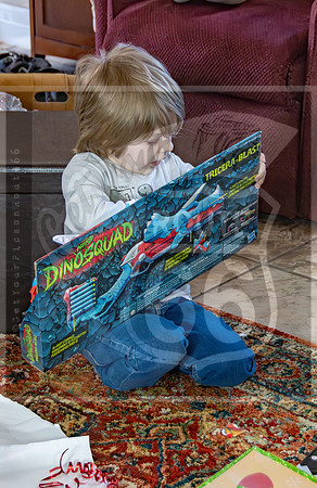 untitled-5395-Enhanced-NR.jpg