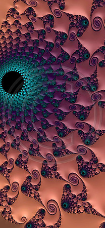Tufted II