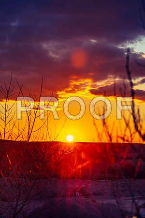 untitled-8301.jpg
