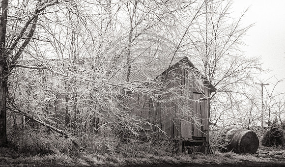 Jupiter Ice Storm- Saturday 14, 2017 (c)PicsbyJax whatisee shootandediteveryday picsbyjax-5038.jpg