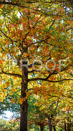 untitled-5513.jpg