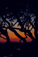 Ha Ha Tonka Sunset-5832