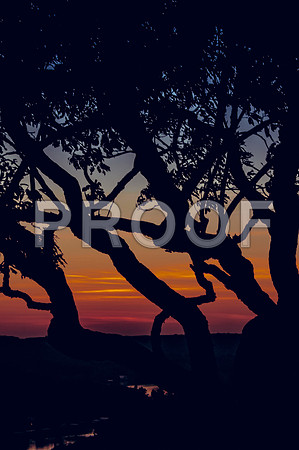 Ha Ha Tonka Sunset-5832