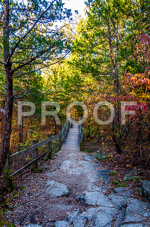 Ha Ha Tonka 2015-5596.jpg