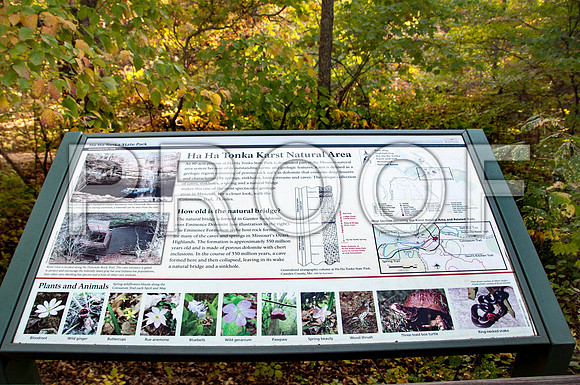 Ha Ha Tonka 2015 -5475.jpg
