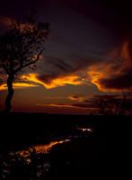 DSC_0602.jpg