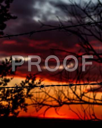 untitled-8389.jpg