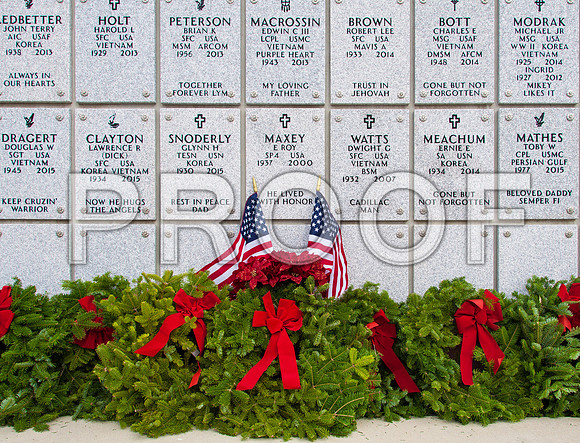 Ceremony Day: Wreaths Across America 2015 ©PicsbyJax-2382.jpg