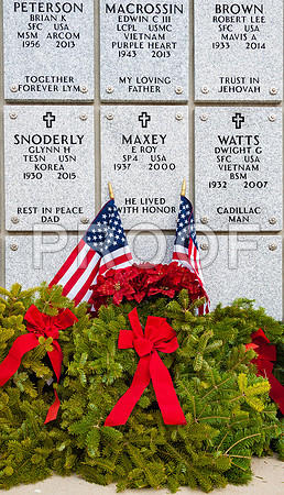 Ceremony Day: Wreaths Across America 2015 ©PicsbyJax-2381.jpg