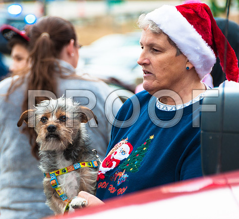 Waynesville Christmas Parade 2015 ©PicsbyJax-1148.jpg