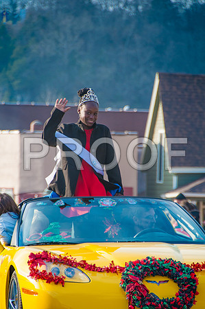 Waynesville Christmas Parade 2015 ©PicsbyJax-1344.jpg