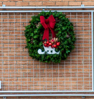 Waynesville Christmas Parade 2015 ©PicsbyJax-1139.jpg