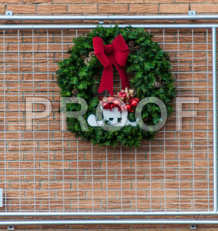 Waynesville Christmas Parade 2015 ©PicsbyJax-1139.jpg