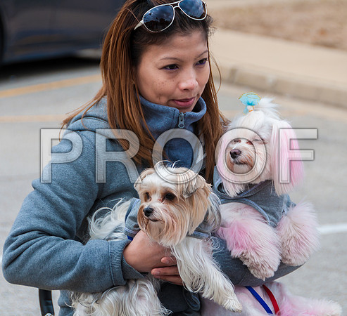 Waynesville Christmas Parade 2015 ©PicsbyJax-1149.jpg