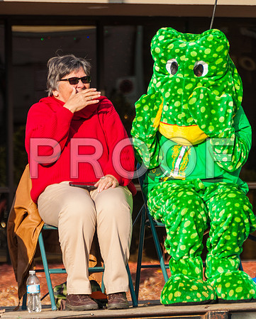 Waynesville Christmas Parade 2015 ©PicsbyJax-1443.jpg