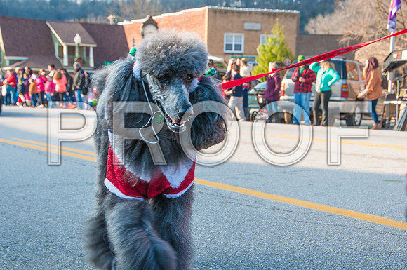 Waynesville Christmas Parade 2015 ©PicsbyJax-1327.jpg