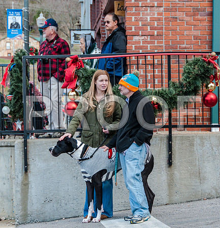 Waynesville Christmas Parade 2015 ©PicsbyJax-1170.jpg