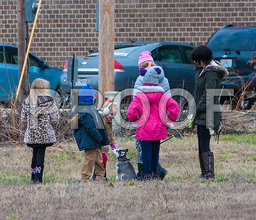 Waynesville Christmas Parade 2015 ©PicsbyJax-1123.jpg