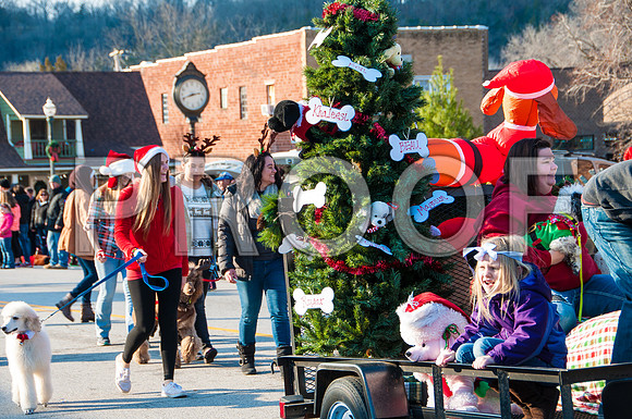 Waynesville Christmas Parade 2015 ©PicsbyJax-1317.jpg