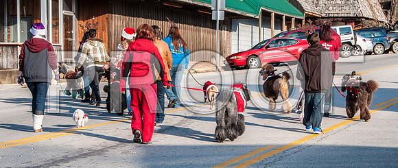 Waynesville Christmas Parade 2015 ©PicsbyJax-1329.jpg
