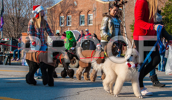 Waynesville Christmas Parade 2015 ©PicsbyJax-1318.jpg