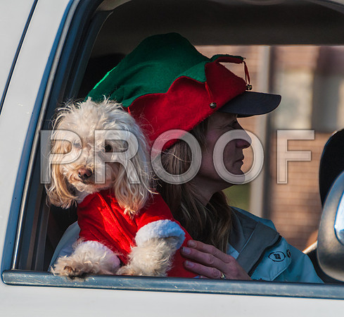 Waynesville Christmas Parade 2015 ©PicsbyJax-1527.jpg