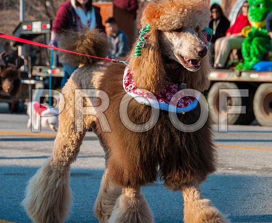 Waynesville Christmas Parade 2015 ©PicsbyJax-1321.jpg