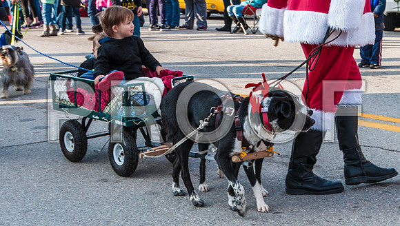 Waynesville Christmas Parade 2015 ©PicsbyJax-1449.jpg
