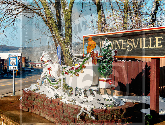 White Christmas 2017 (c)PicsbyJax christmas snow picsbyjax  -9728.jpg