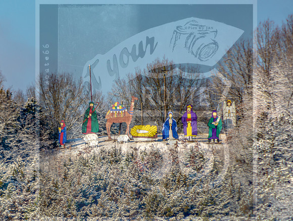 White Christmas 2017 (c)PicsbyJax christmas snow picsbyjax  -9755.tif