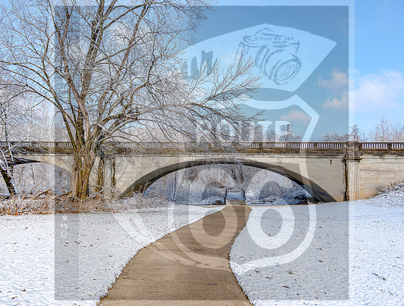 White Christmas 2017 (c)PicsbyJax christmas snow picsbyjax  -9780.jpg