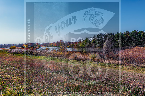 JAX_6752-Edit