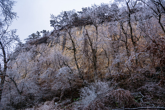 Jupiter Ice Storm- Saturday 14, 2017 (c)PicsbyJax whatisee shootandediteveryday picsbyjax-5252.jpg