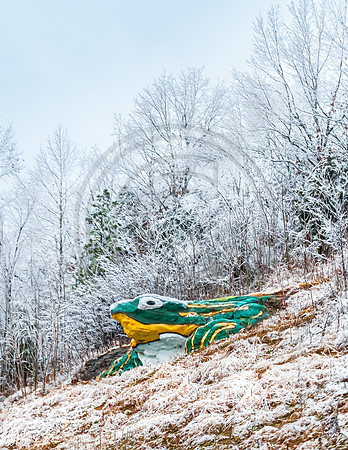 Route 66: W.H. Croaker (Frog Rock) © PicsbyJax-0068.jpg