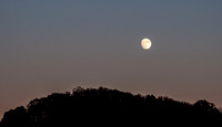 untitled-0501.jpg