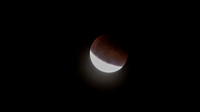 Super Moon Eclipse Lumix-1150111.jpg