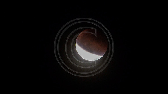 Super Moon Eclipse Lumix-1150111.jpg