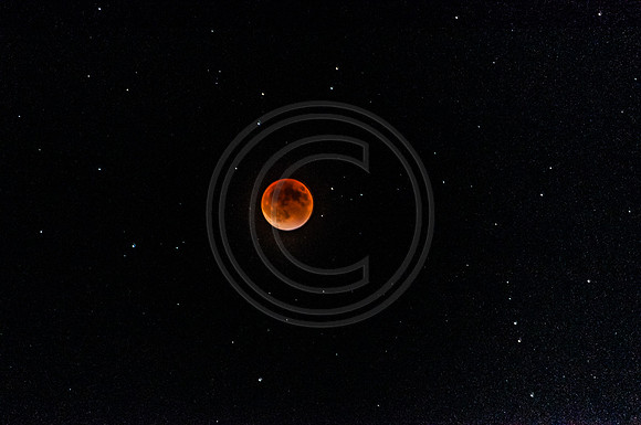 Super Moon Eclipse Nikon-3925.jpg