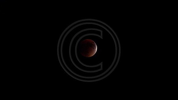Super Moon Eclipse Lumix-1150096.jpg