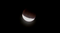 Super Moon Eclipse Lumix-1150114.jpg