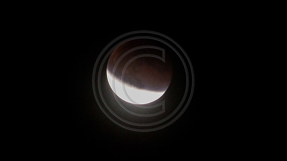 Super Moon Eclipse Lumix-1150114.jpg