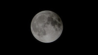 Super Moon Eclipse Lumix-1150166.jpg