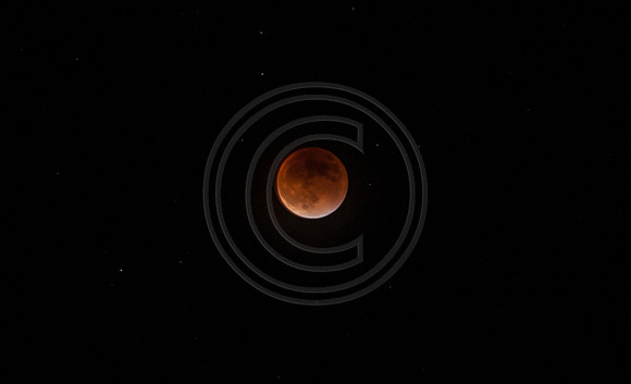 Super Moon Eclipse Nikon-3933.jpg