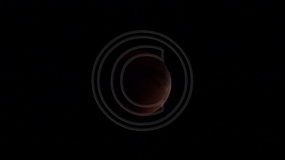 Super Moon Eclipse Lumix-1150102.jpg