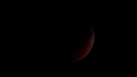 Super Moon Eclipse Lumix-1150105.jpg