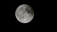 Super Moon Eclipse Lumix-1150165.jpg
