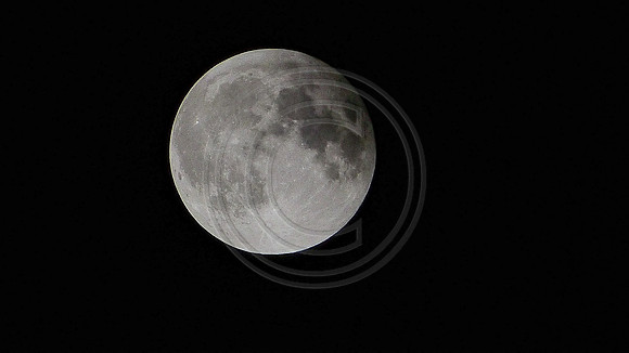 Super Moon Eclipse Lumix-1150165.jpg